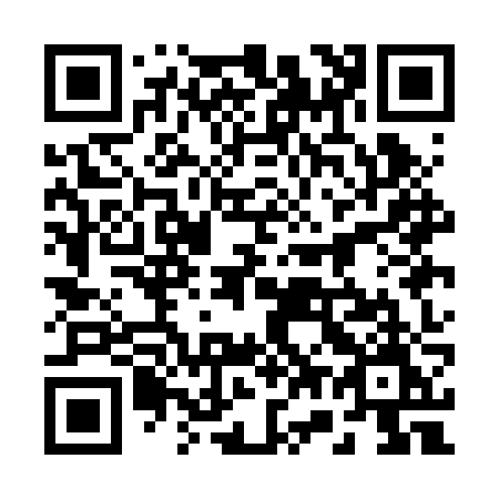 QR code for plate 271-BZM