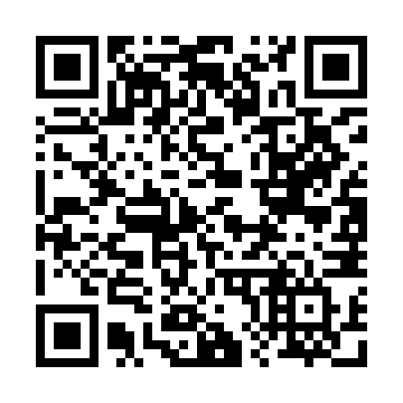 QR code for 287-INV