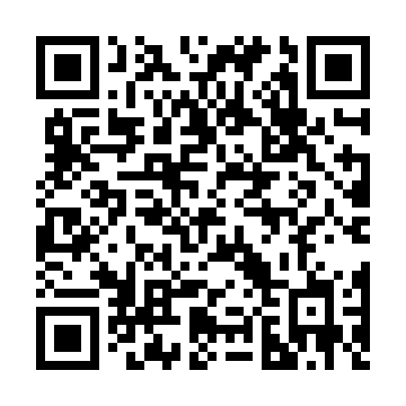 QR code for plate 289-JGJ