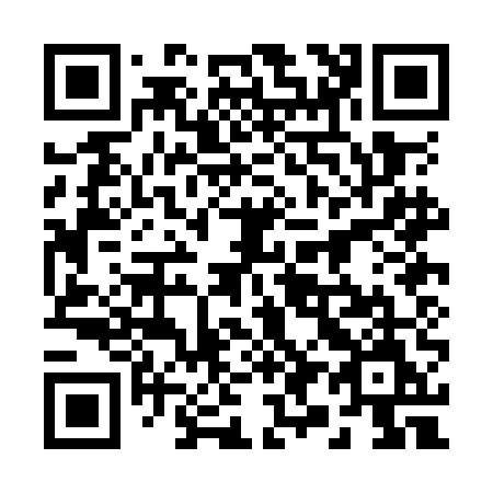 QR code for 290-OEM