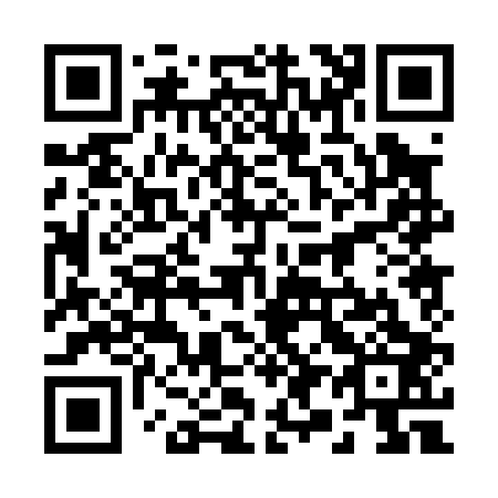 QR code for 290003