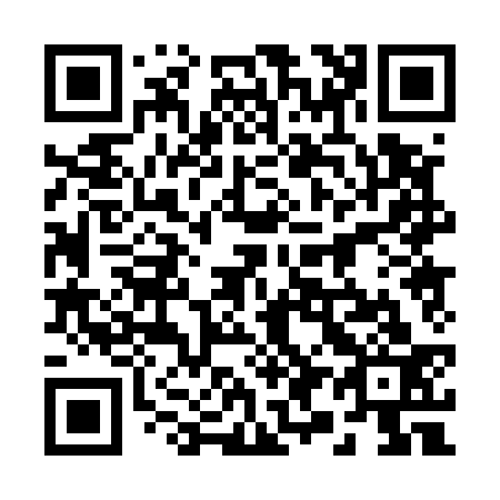 QR code for 290533