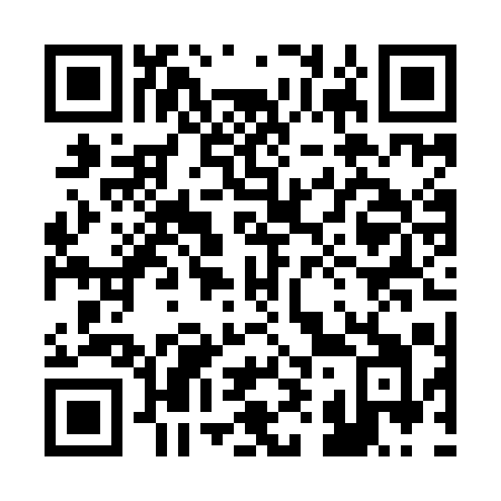 QR code for 290YAI
