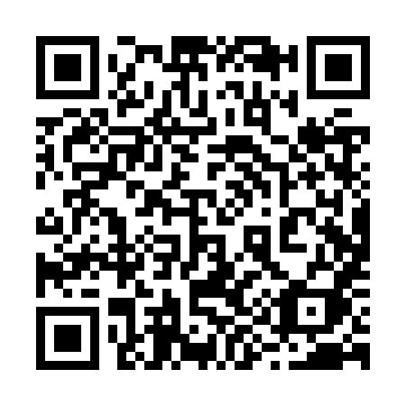 QR code for plate 290-ZXI