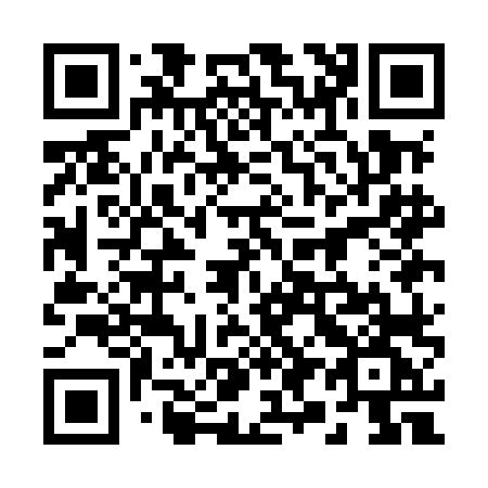 QR code for 291-MLG
