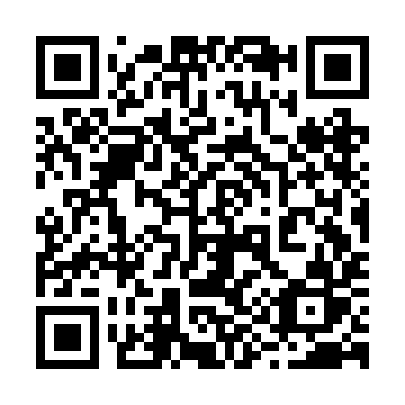 QR code for 293-BIR