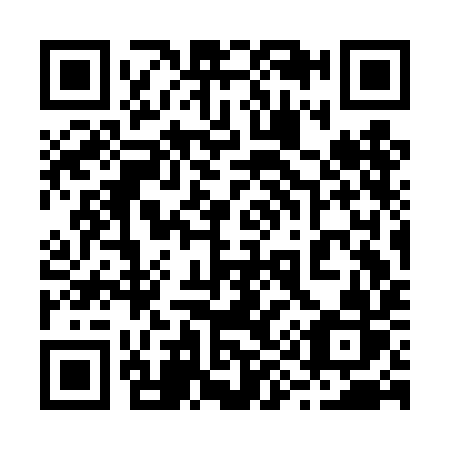 QR code for plate 293-DIR