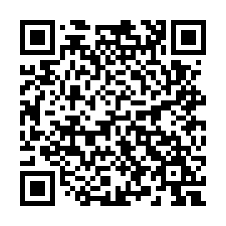 QR code for 293EVM