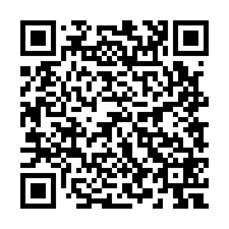 QR code for 294168