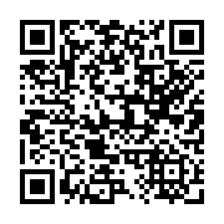 QR code for 294319