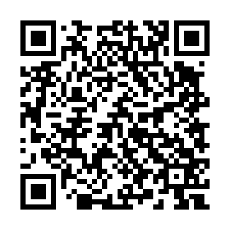 QR code for 294463