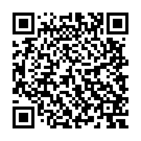 QR code for 294502