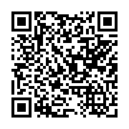 QR code for 294605