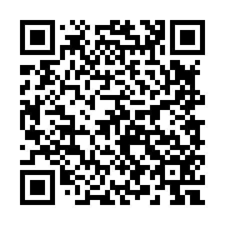 QR code for 294856