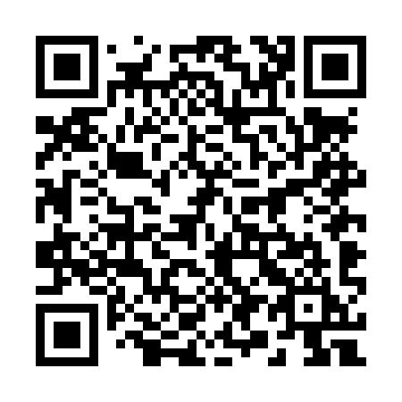 QR code for 294LYI