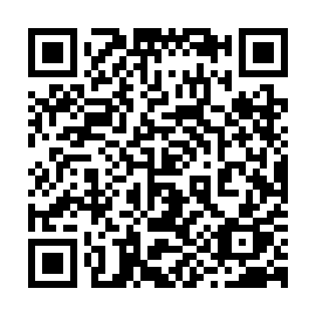 QR code for plate 294-SAP