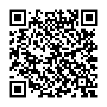 QR code for plate 294-XVI