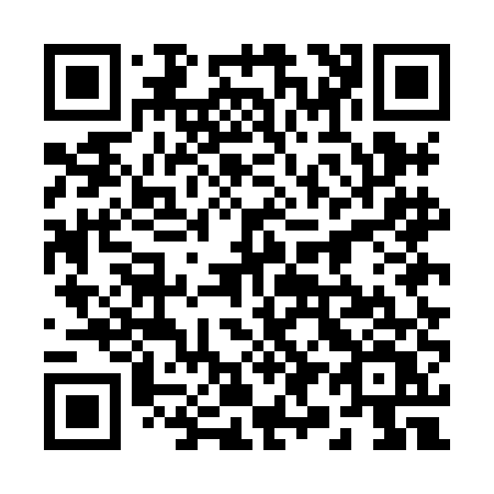 QR code for 295-HEV