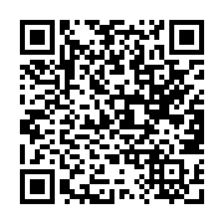QR code for 295-LZR