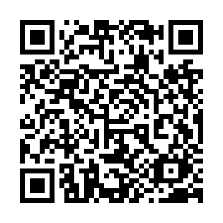 QR code for 295-NZM