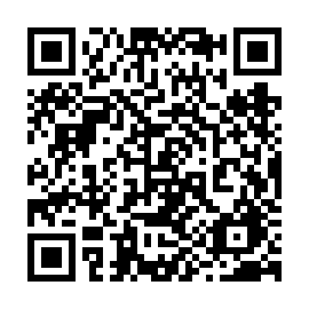 QR code for 295-VJG