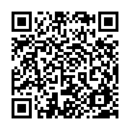 QR code for 295-YBG