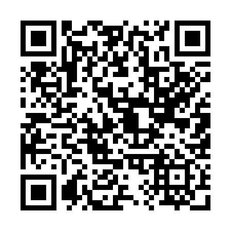 QR code for 295339