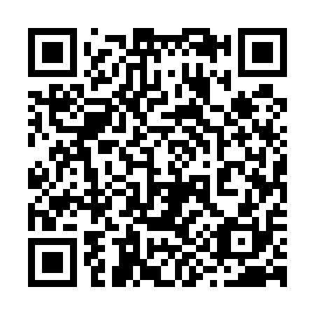 QR code for 295510