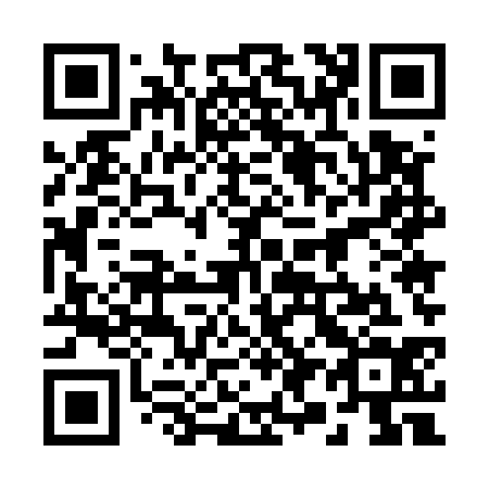 QR code for 295534