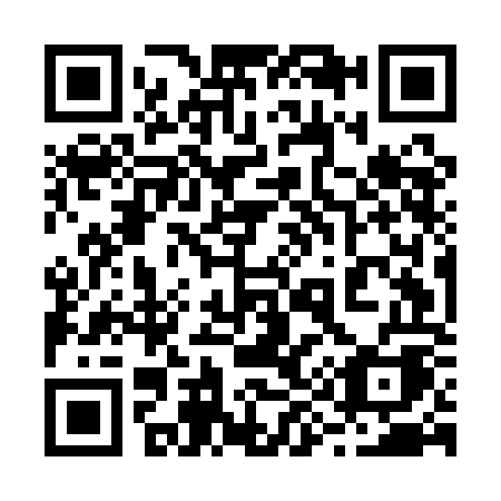 QR code for plate 295-AOA