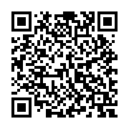 QR code for plate 295-BYR
