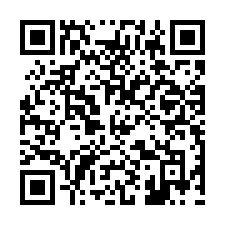 QR code for 295EFO