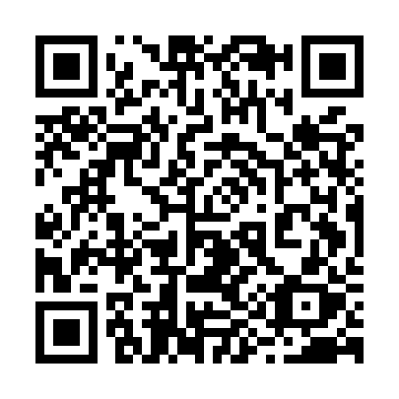 QR code for plate 295-MRX