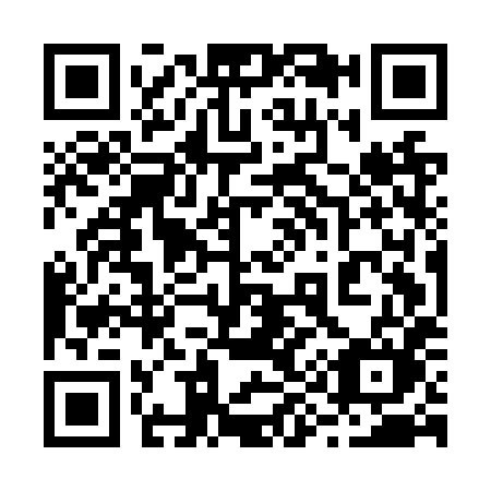 QR code for 295NXM