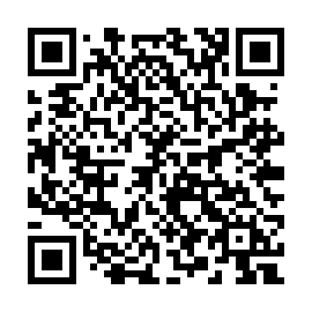QR code for 295PBH