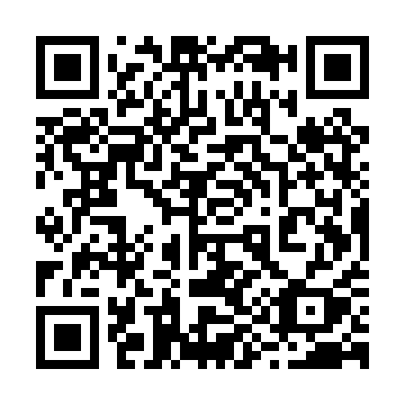 QR code for 295PQY
