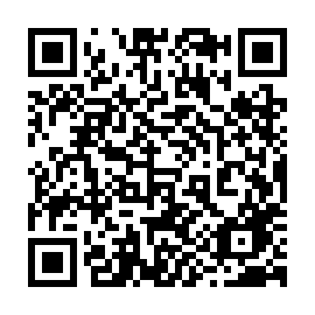 QR code for 295SHG