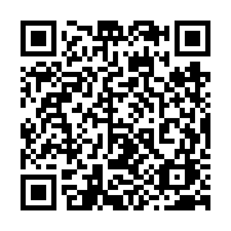 QR code for plate 295-VWC