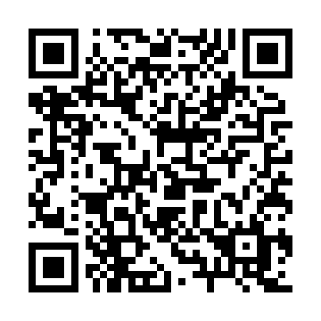 QR code for 295XSL