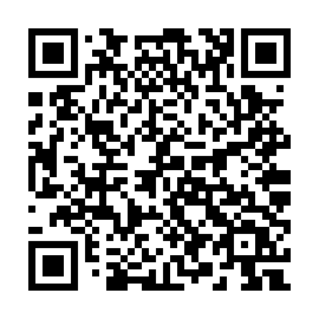 QR code for plate 296-PTT