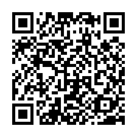 QR code for 299528