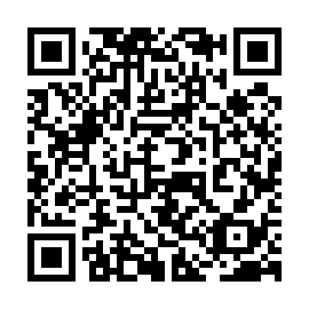 QR code for 2D6538