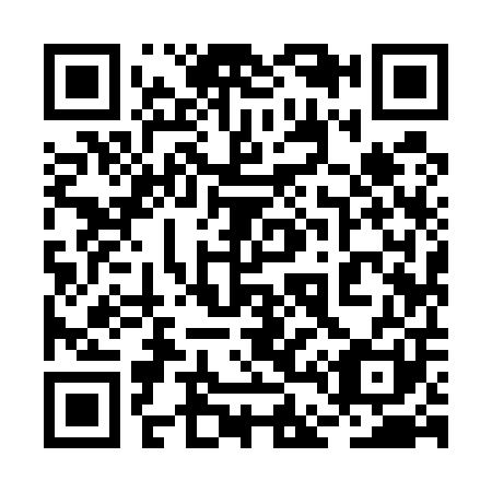 QR code for 2D9501