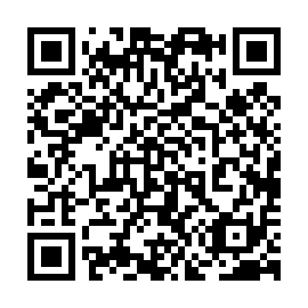 QR code for 2G0411