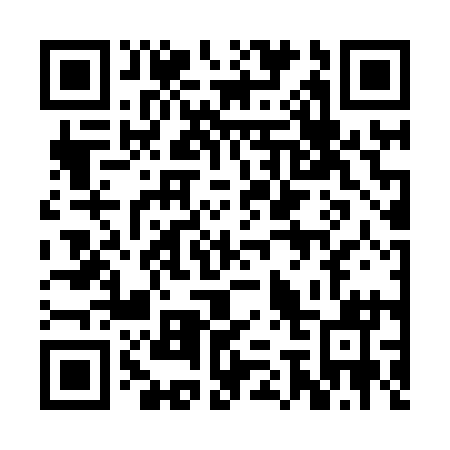 QR code for 2G2811