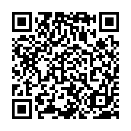 QR code for 2G3313