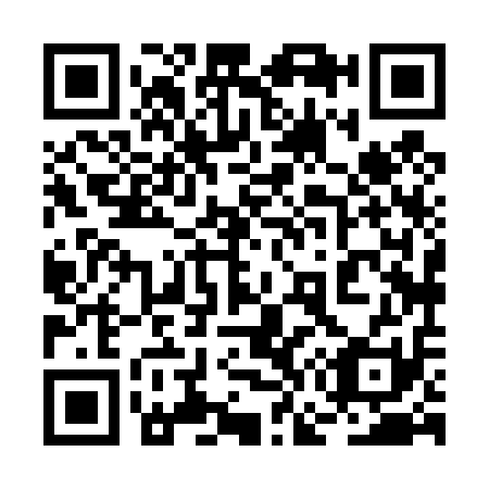 QR code for 2G8411