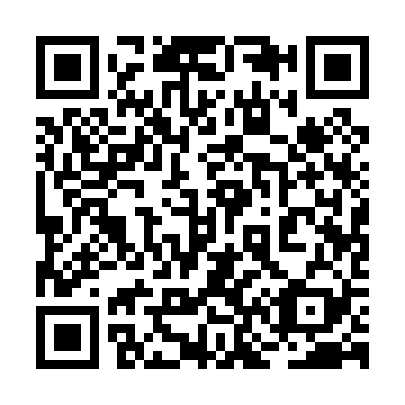 QR code for 2N1029