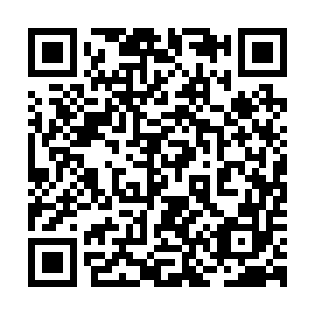 QR code for 2N1252