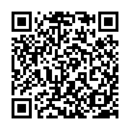 QR code for 2N1291